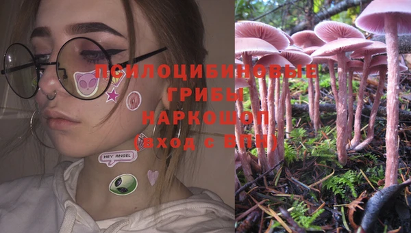 тгк Абинск