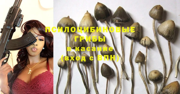 тгк Абинск