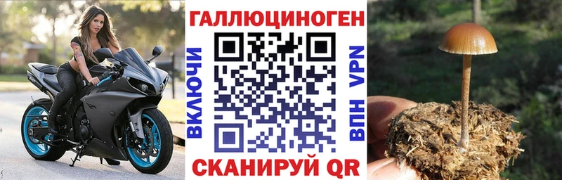 ссылка на мегу как зайти  Кашира  Псилоцибиновые грибы мухоморы 