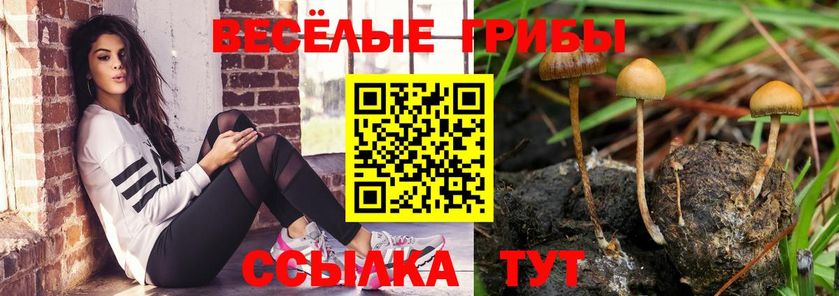 Галлюциногенные грибы мицелий  Галлюциногенные грибы GOLDEN TEACHER  Кашира  Вход с VPN 