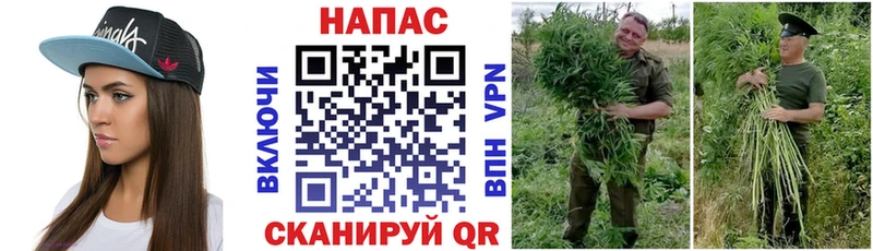 Шишки марихуана LSD WEED  Кашира 